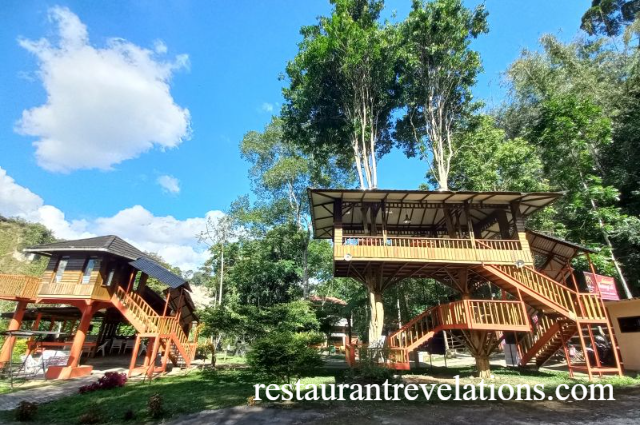 Berwisata Kuliner Sambil Nikmati Keindahan Alam di Rumah Pohon Sianok